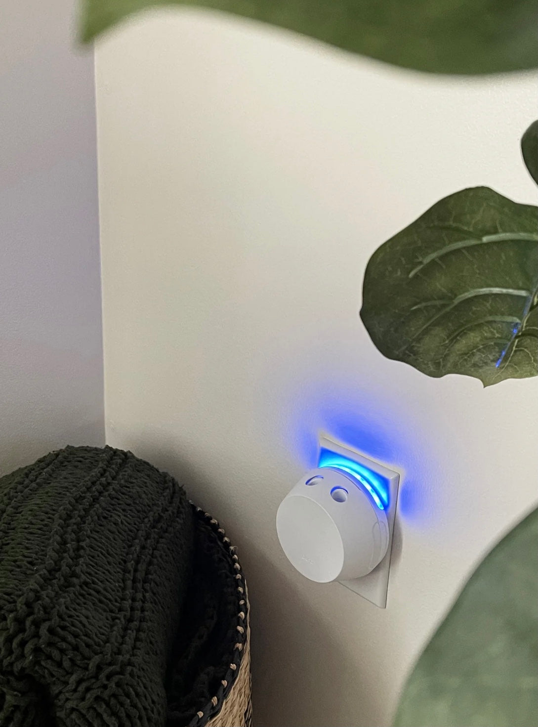 Sweet Grace Pura+Bridgewater smart home diffuser set