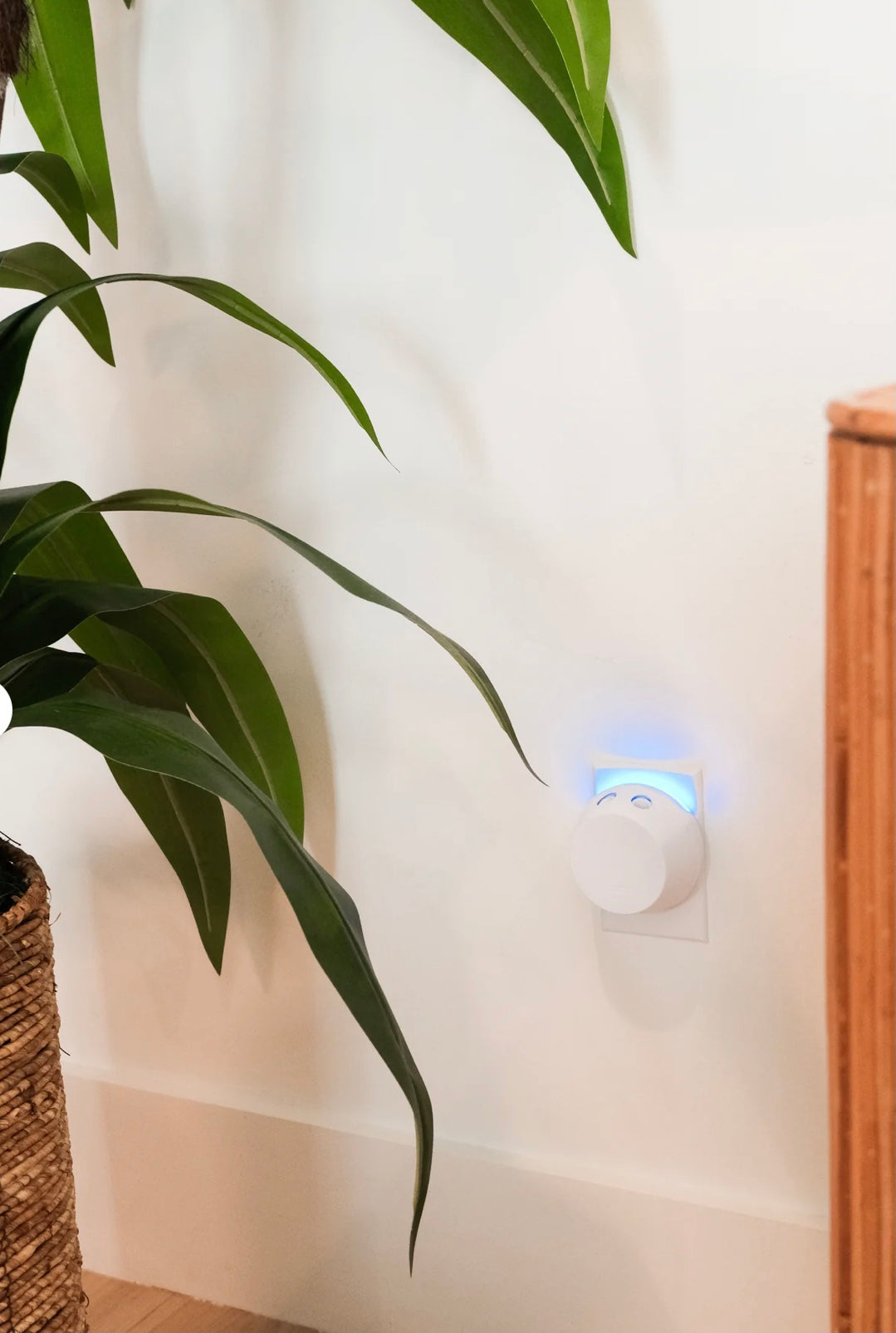 Sweet Grace Pura+Bridgewater smart home diffuser set