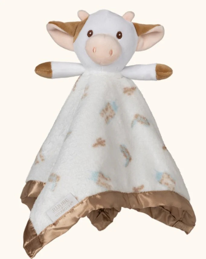 Security Blanket